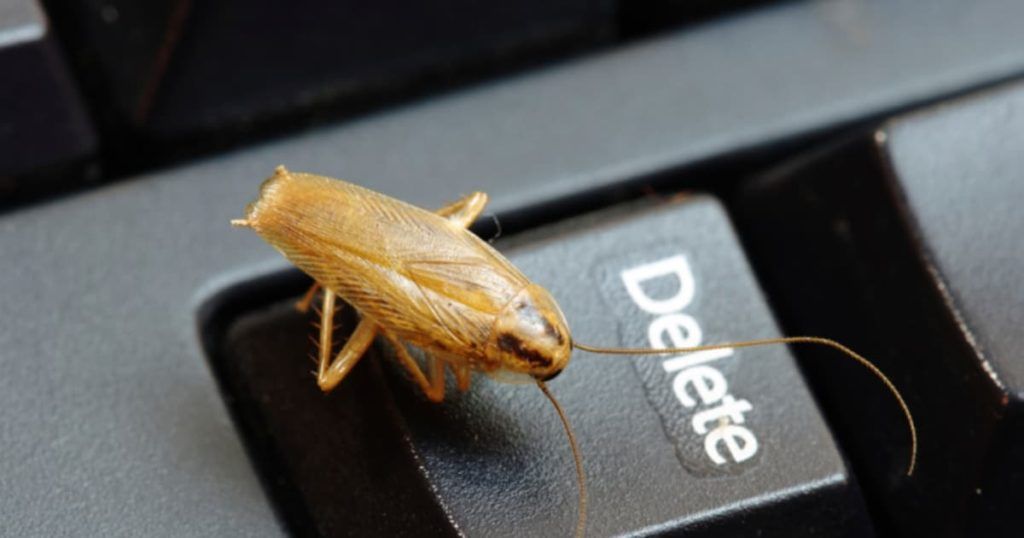 Уничтожение тараканов в офисе в Тюмени